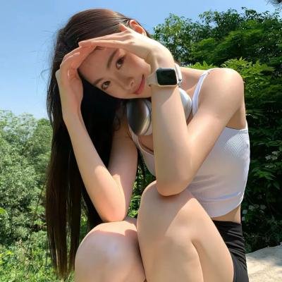 终极制裁者